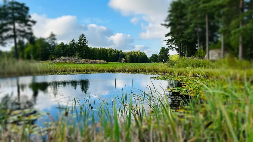 Østfold Seniormesterskap 2022 