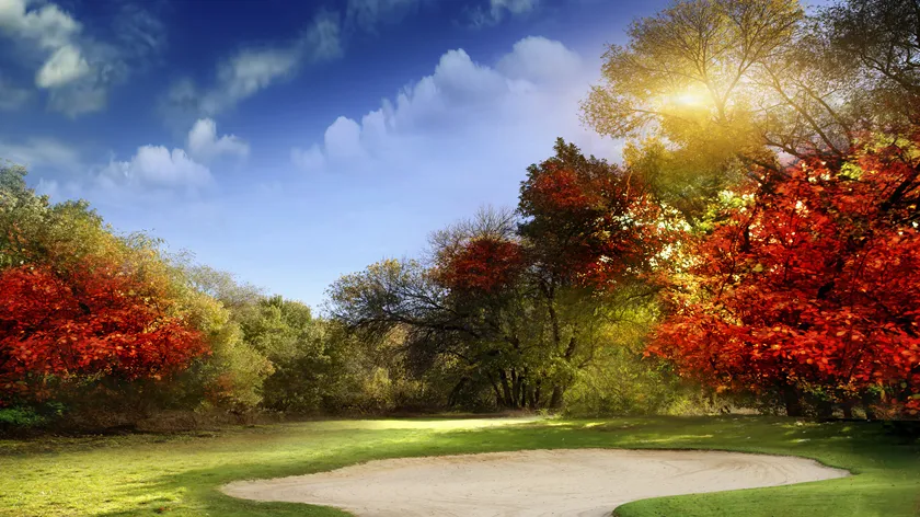 Åpningstider i proshop og golfbox