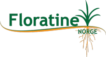 Florantine Norge
